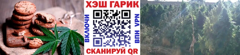 дарк нет официальный сайт  ОМГ ОМГ маркетплейс  Рубцовск  наркошоп  Cannafood марихуана 