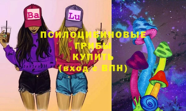 а пвп мука Надым