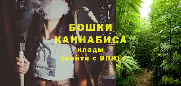 прущие грибы Абаза