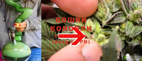 дурь Белокуриха