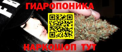 кокс Можга