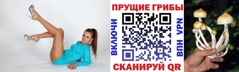 цены   Рубцовск  Псилоцибиновые грибы Magic Shrooms 