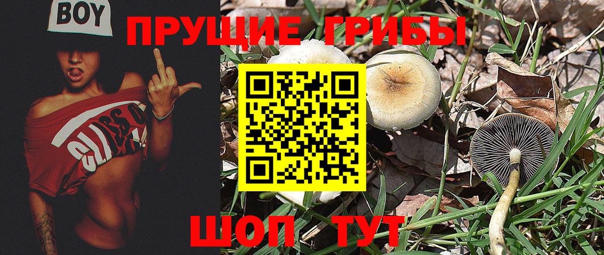 Галлюциногенные грибы Cubensis Рубцовск